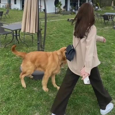 爸爸的小提琴